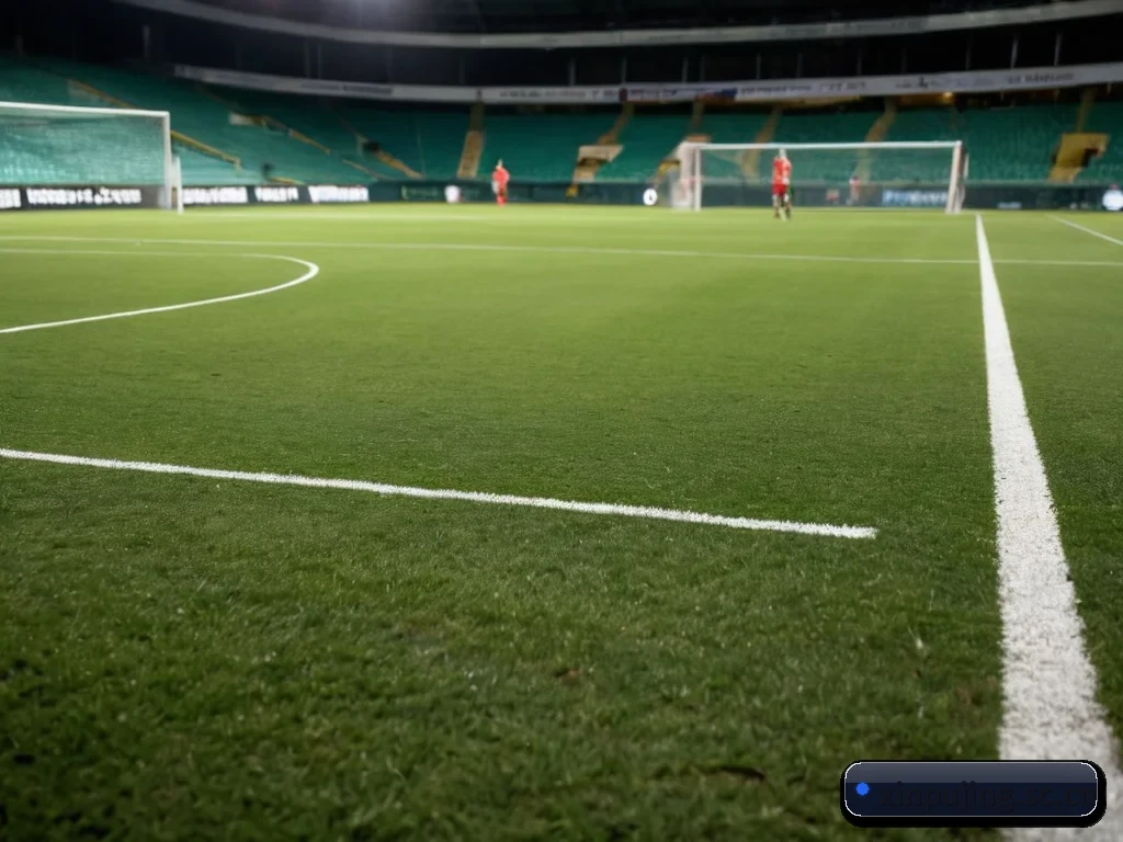 了解平台